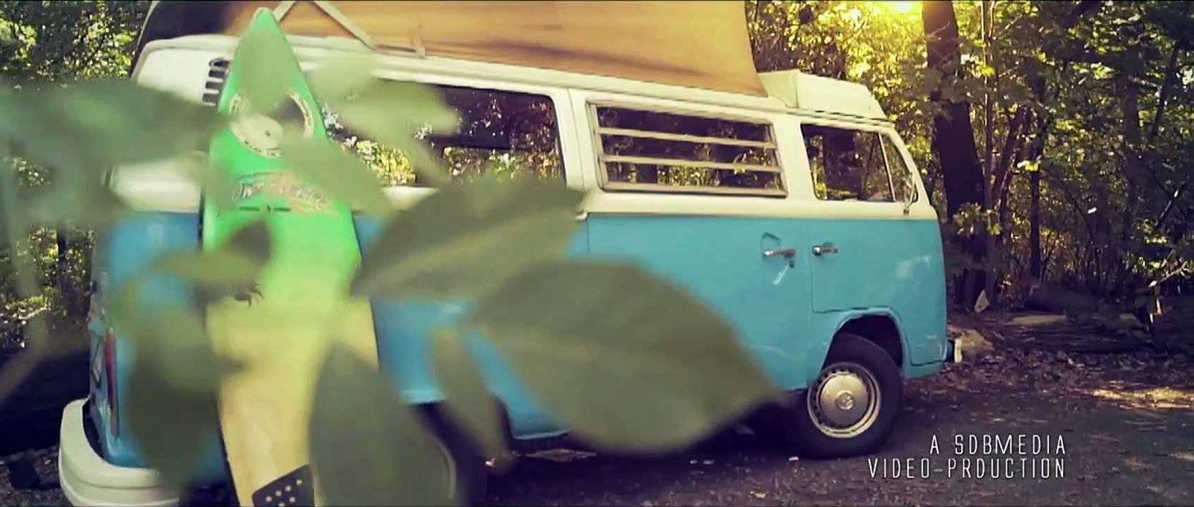 california dreamin-freischwimmer