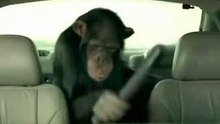 Car security