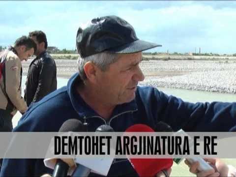 Shkodër, dëmtohet argjinatura e lumit Kir - Vizion Plus - News - Lajme