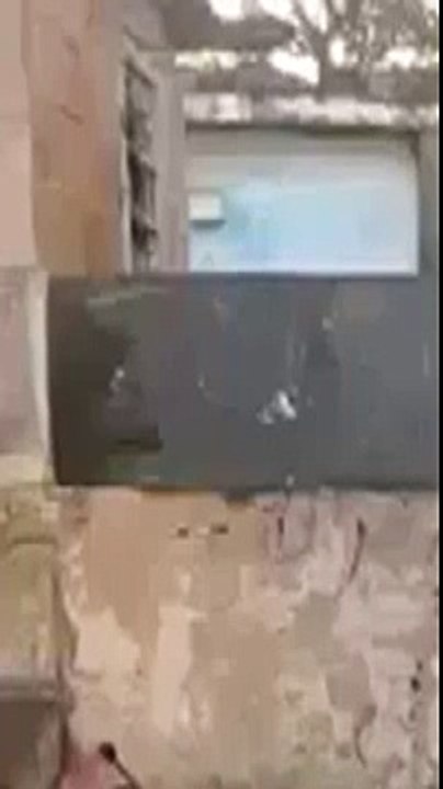 Funny video