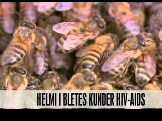 Helmi i bletës kundër HIV-AIDS - Vizion Plus - News, Lajme