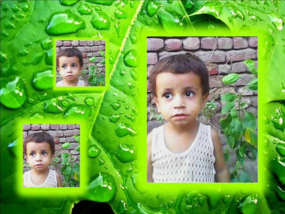 kashif ali chandio