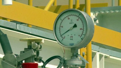 Aux Emirats, l'or noir finance l'énergie verte