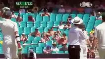 Most Funniest Moments of Cricket - Cricket Funny Tiktok video