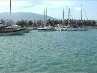 MORATORIUMI I SKAFEVE-DY MUAJ PAS SHFUQIZIMIT POLICIA ENDE NUK LEJON SKAFET NE DET LAJM