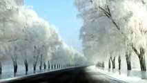 Dashcam captures beautiful freezing fog formed along China road
