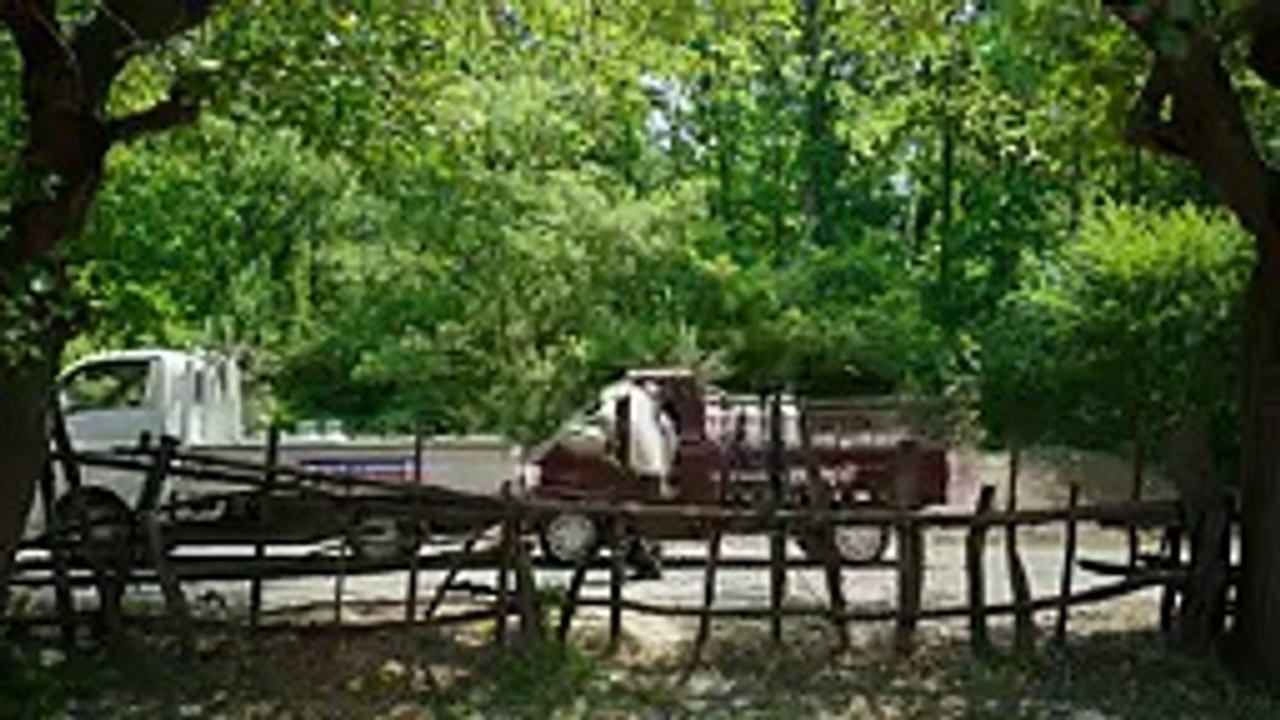 Düğün Dernek 2 Sünnet Yeni Fragman