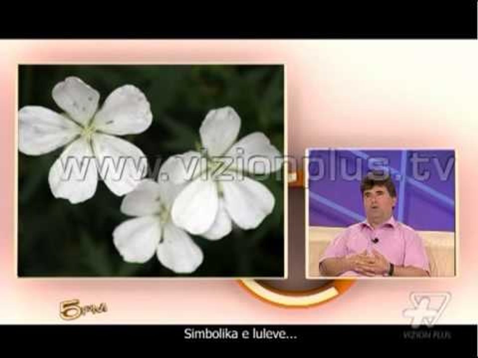 Simbolika e luleve - Ora 5 PM 5 Qershor 2013 Pj.3 - Vizion Plus - Talk show