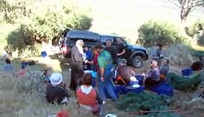 Ο Μητροπολίτης Θ και Λ Γεώργιος "εργάτης" στον ελαιώνα του Οσίου Λουκά