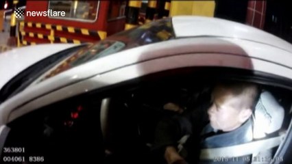 Truck driver hides four goats in the back of his vehicle