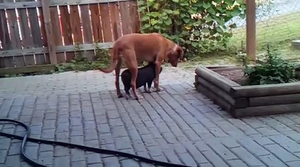 Someone to walk over me.