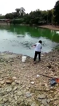 Des poissons affamés prêt à tout pour manger