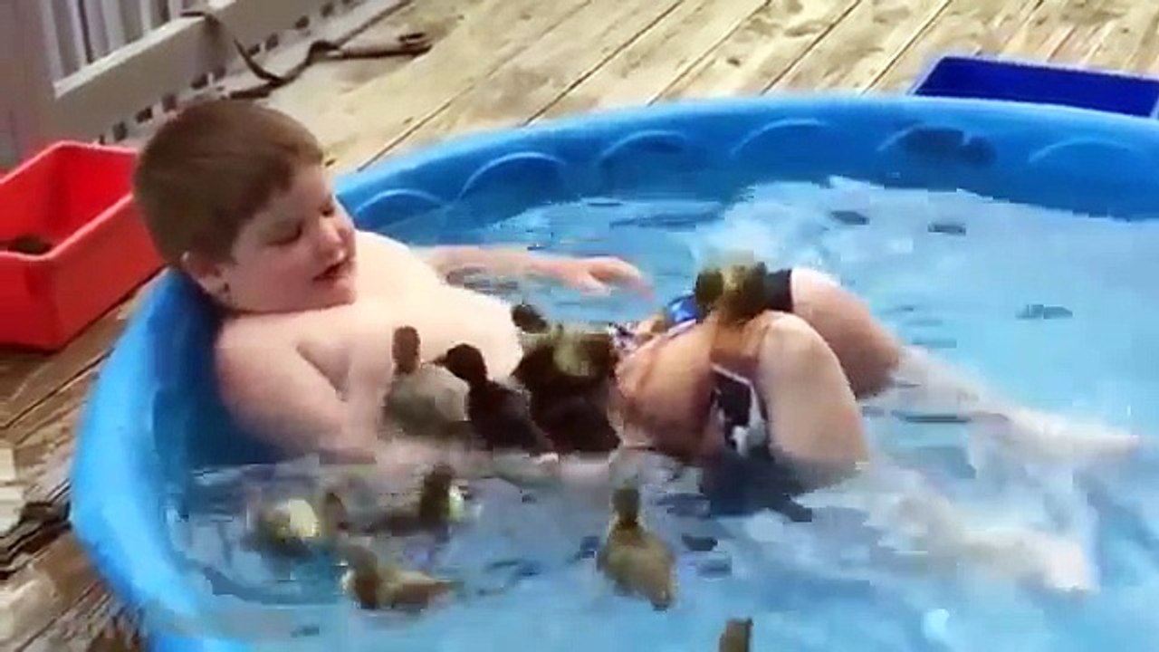 Funny Animals A Funny Animal Videos Compilation 2