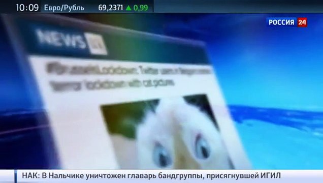 Бельгийцы борются с террористами при помощи котов