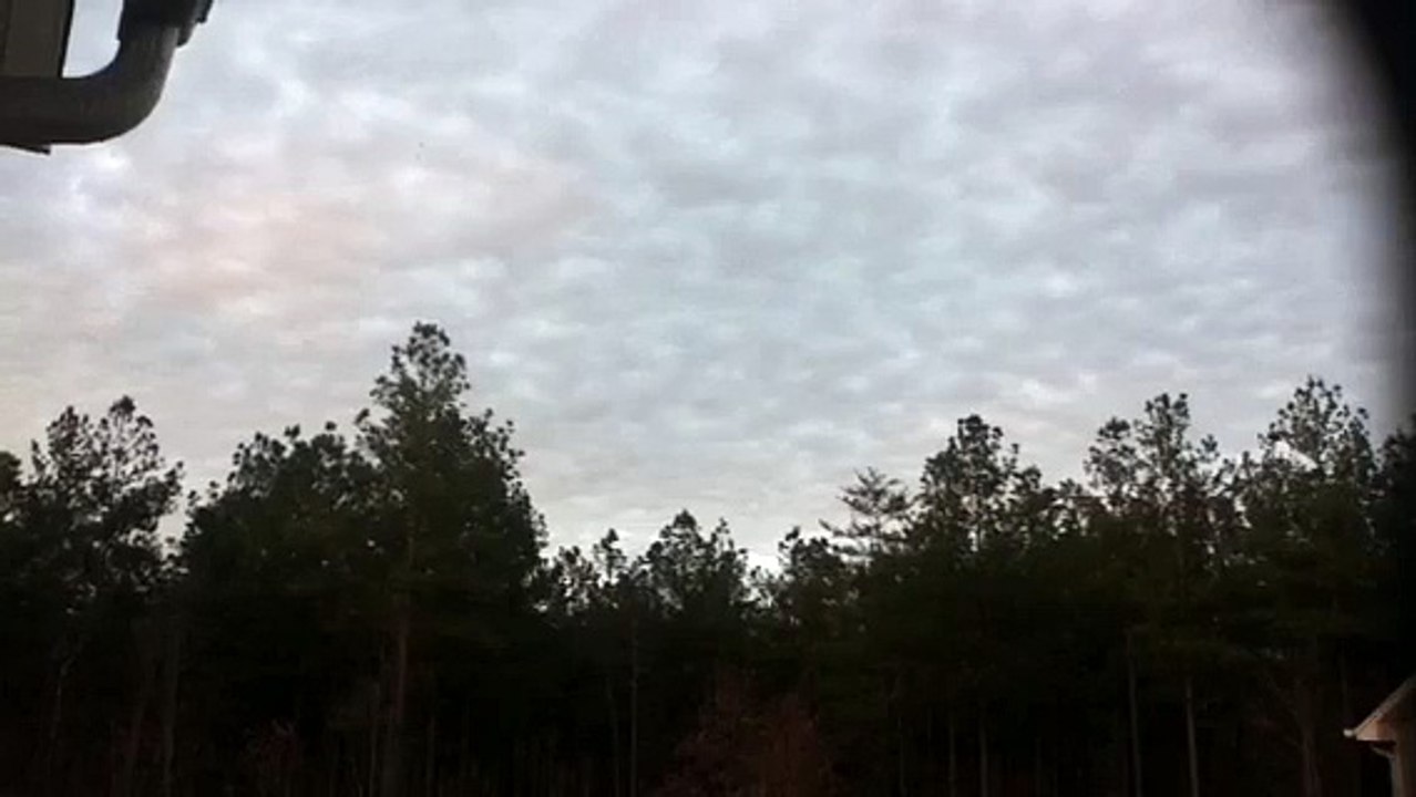 z57 presents Clouds to Trees