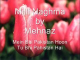 Mein Bhi Pakistan Hoon - Muhammad Ali Shehki