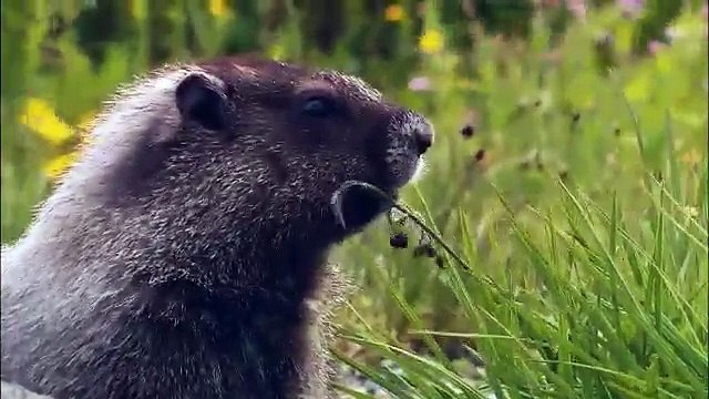 xsplit-broadcaster Live auto-rec test (AUTO-RECORD) (2015-11-24 10:49:09 - 2015-11-24 11:09:18)