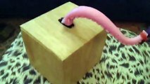 Littlebits Arduino knife-wielding tentacle