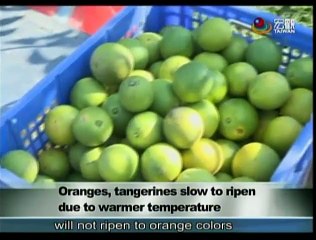 宏觀英語新聞Macroview TV《Inside Taiwan》English News 2015-11-23