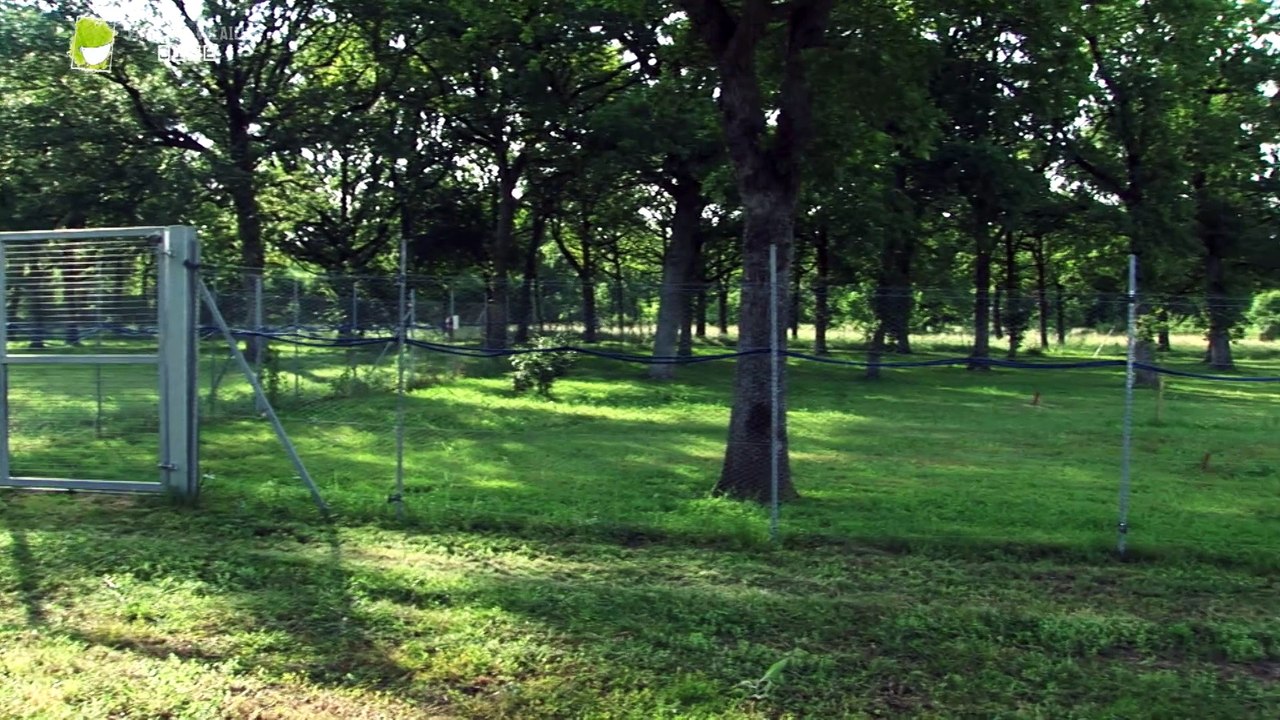 Le site expérimental de l'INRA du Magneraud (CASDAR PARCOURS VOLAILLES)