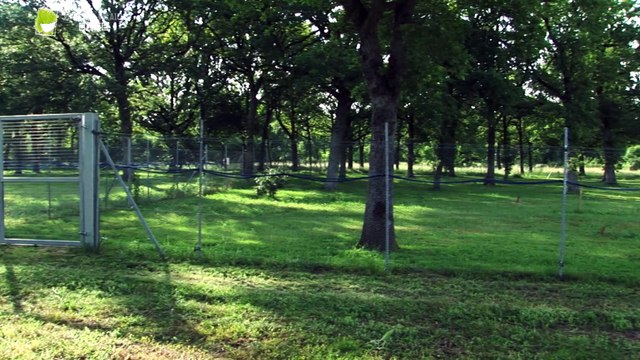 Le site expérimental de l'INRA du Magneraud (CASDAR PARCOURS VOLAILLES)