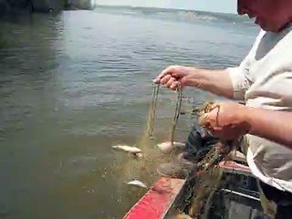 Изображение 019.avi-15673974_8