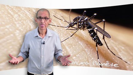 Demain ma planète module 08