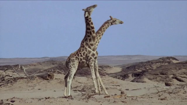 BETC Paris pour Crédit agricole - «Pour faire de l'exercice, seul ou accompagné» - novembre 2015