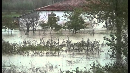 Reshjet e shiut. Qarku Dibër, evakuohen disa familje