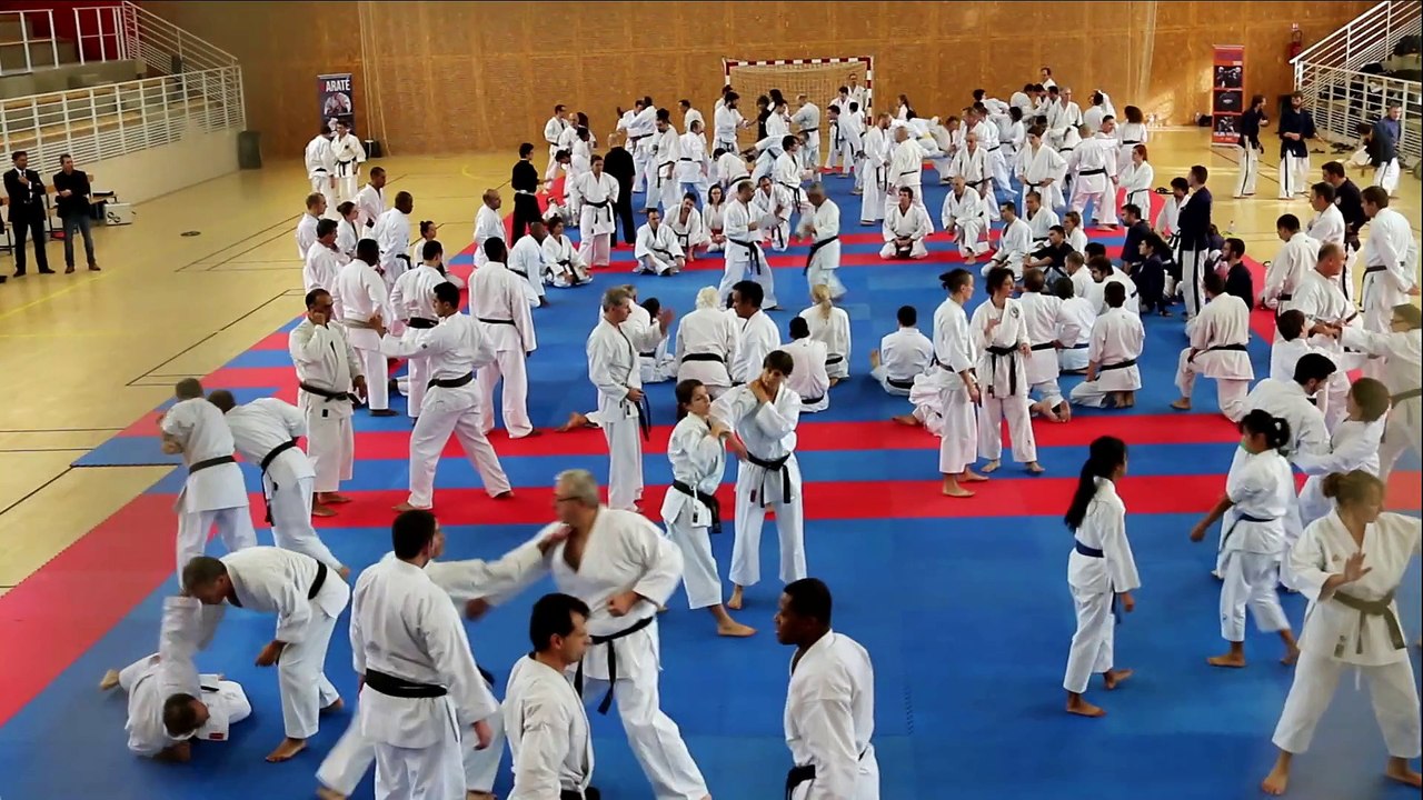 Stage des Experts Japonais 2015