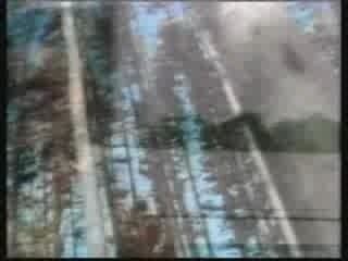 B-52's - Planet Claire