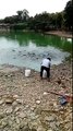 Une femme nourrit des poissons au bord d'un étang (Chine)