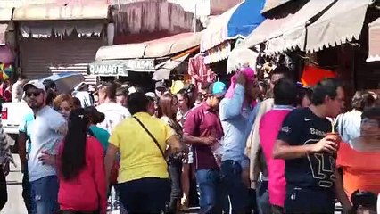 Se auditara el Museo de las Momias