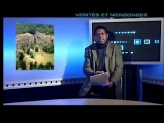 Vérités et Mensonges #1 Zimbabwe