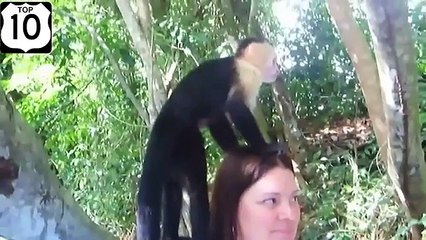 Funny Funny Animal. Animais engraçados de diferentes ângulos