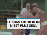 LE sumo de Berlin fait des émules !