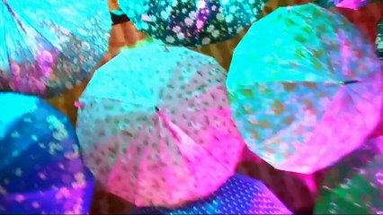 Hamza Arts- dream Wedding