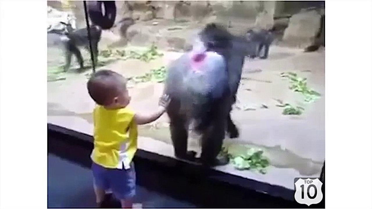 L'événement au zoo. Singe drôle et amusant bébé