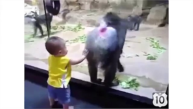 L'événement au zoo. Singe drôle et amusant bébé
