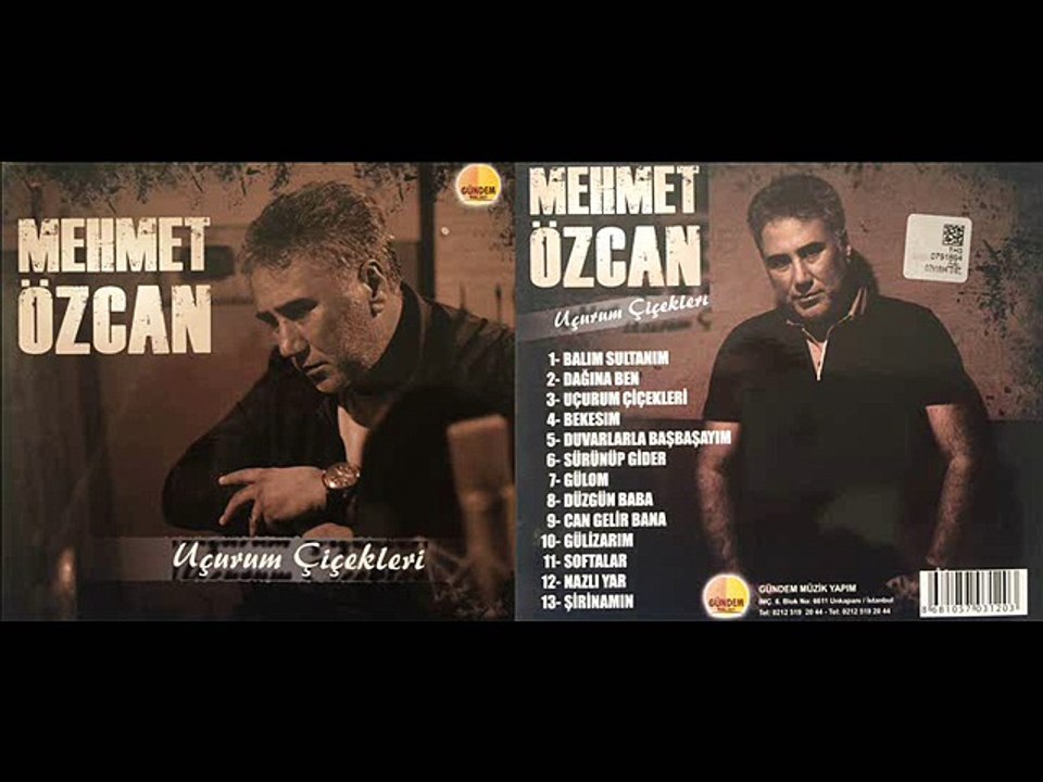 Mehmet Özcan Duvarlarla Başbaşayım