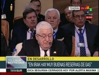 Irak llama a unir esfuerzos por el desarrollo del gas a nivel mundial