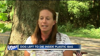 Dog left to die inside garbage bag on side of road