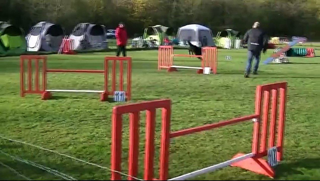 Agility Starbuck Juillan 2015, Brevet obtenu