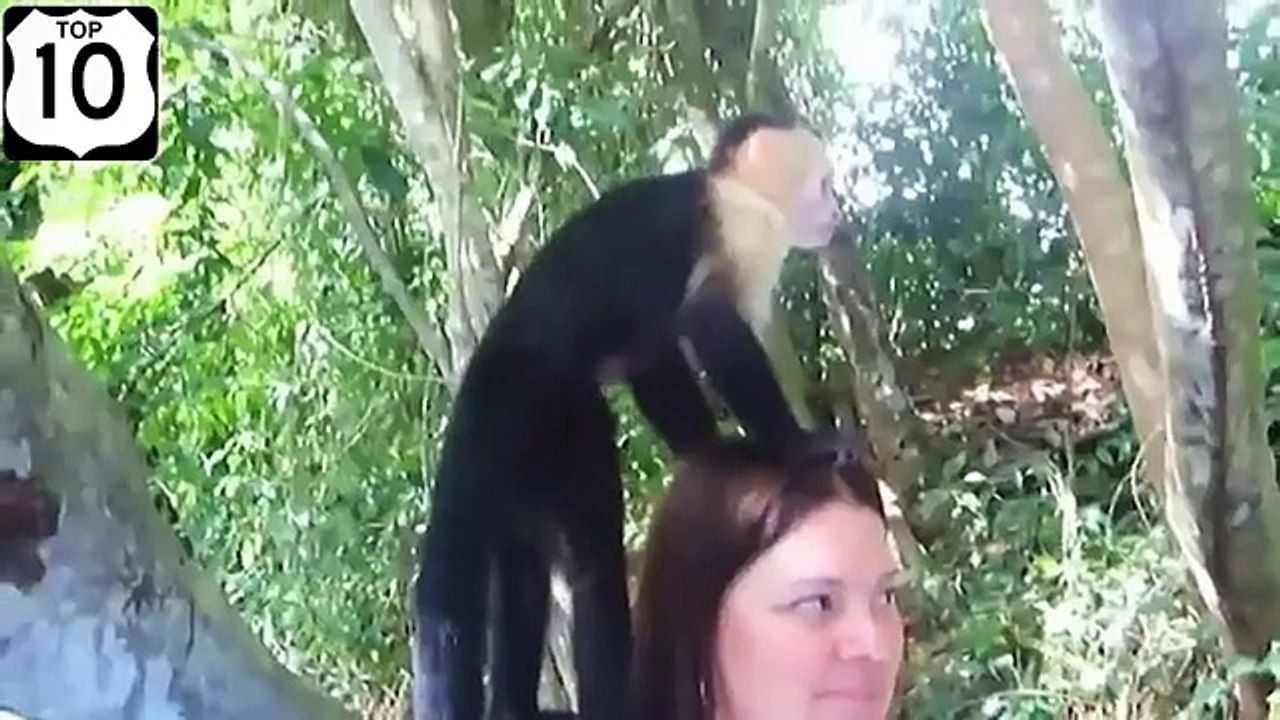 재미 있은 동물 재미. 다른 각도에서 재미있는 동물