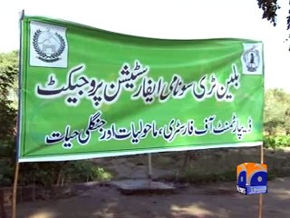 Imran Khan launches plantation drive in D I Khan