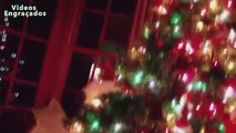 おかしい猫のクリスマスツリー。おかしい猫