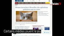 Menace terroriste en Belgique : des photos de chats pour aider la police
