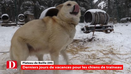 Flash Info - Lundi 23 novembre 2015