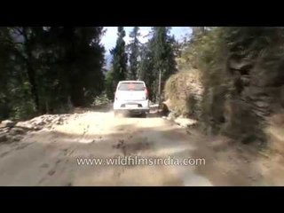 Himalayan driving from Jalori Pass to Sojha in Himachal Pradesh Part 3