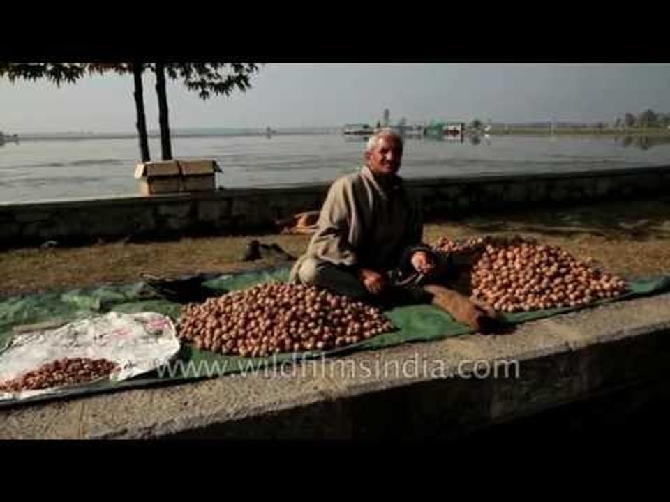 On the road to Ganderbal from Srinagar